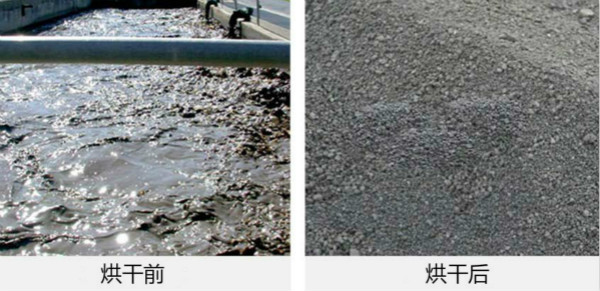 城市污泥烘干设备烘干效果对比图
